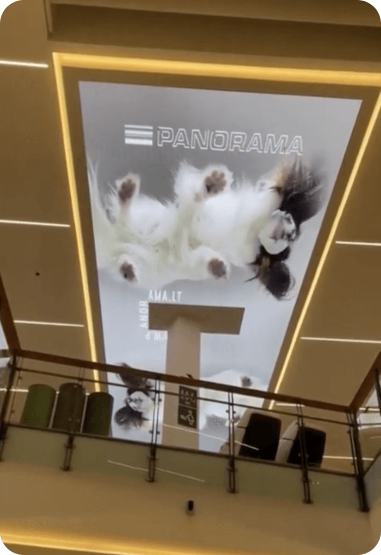 Įdiegtos interaktyvios lubos